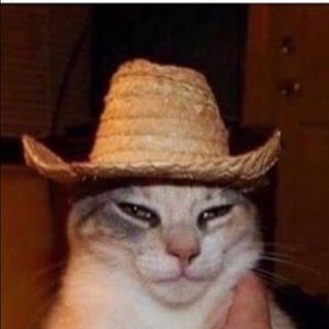 Meet your Posher, Arya